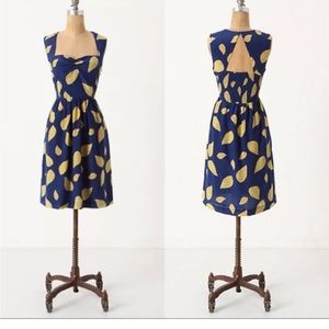 Anthropologie Maple "Tupelo" silk dress
